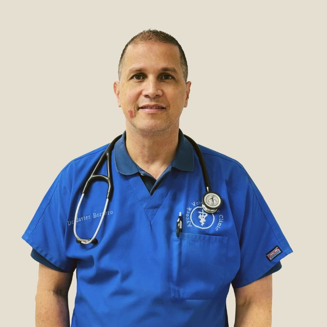 Dr. Javier Borrero