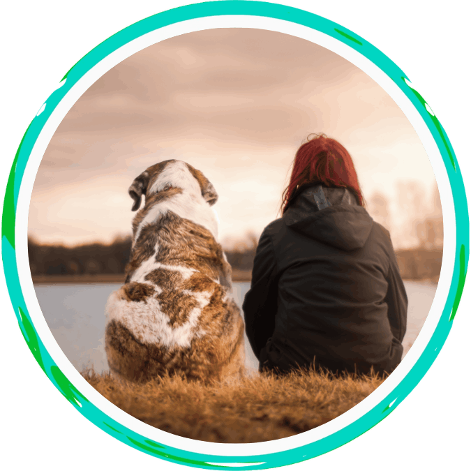 Your Pet’s Final Moments