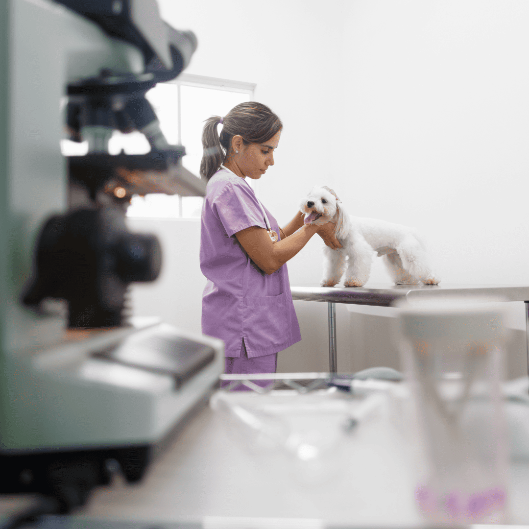 vet tech and diagnostic equipment
