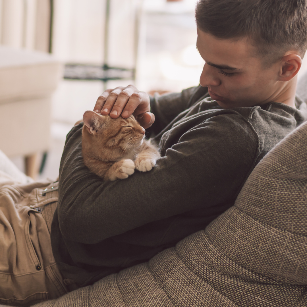 person holding a cat